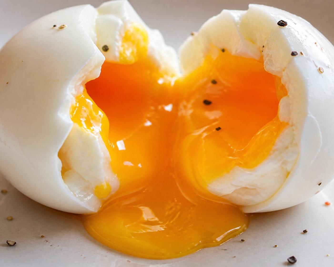 découvrez la quantité exacte de protéines dans un œuf et ses bienfaits nutritionnels pour les sportifs et les gourmands. guide complet pour optimiser votre alimentation.