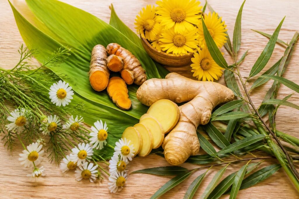 découvrez quelles plantes anti-inflammatoires naturelles choisir pour soulager efficacement vos douleurs et améliorer votre bien-être au quotidien.
